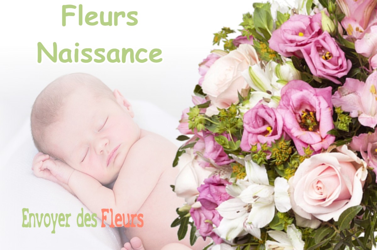 lIVRAISON FLEURS NAISSANCE à MESSIA-SUR-SORNE